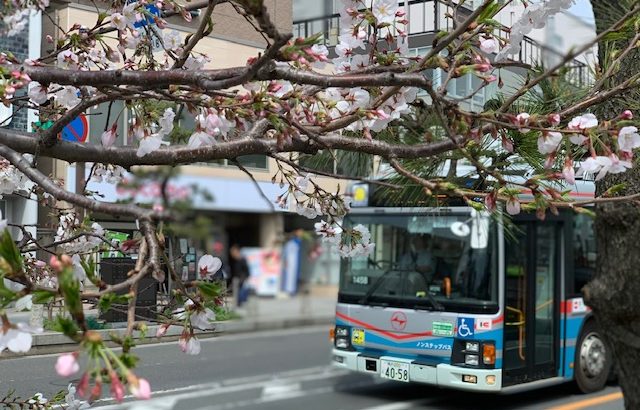 鎌倉散歩　2020年３月28日　外出自粛初日 桜