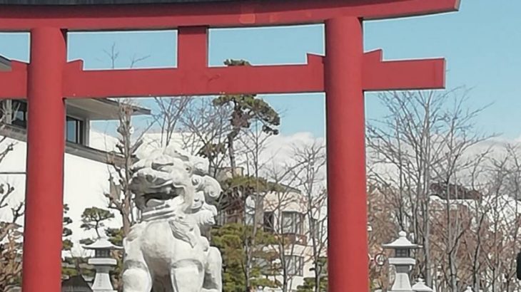 鎌倉散歩　桜　2020年３月６日